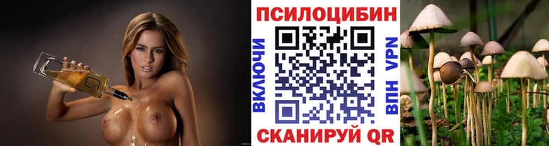 ОМГ ОМГ онион  сколько стоит  Кемерово  Псилоцибиновые грибы мухоморы 